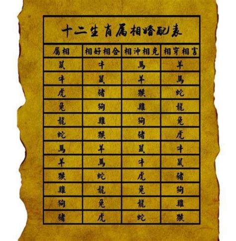 1994年屬什麼|1994年属什么生肖 和什么属相婚配最合适